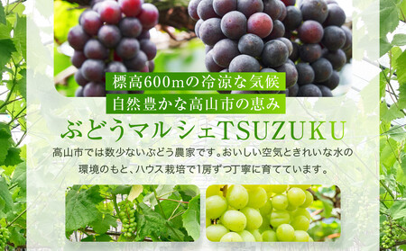 ＜2026年先行予約 9月中旬〜10月下旬発送＞ぶどう彩り2～3種詰め合わせ 2kg | 品種おまかせ 朝採れ フルーツ 果物 食品 おいしい 人気 シャインマスカット マスカット 飛騨高山 ぶどうマルシェTSUZUKU SK002