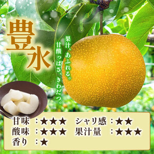 【2026年発送】豊水 梨 5～8玉 約2.5 s