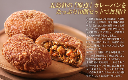 函館カレーパン10個セット HOKE019