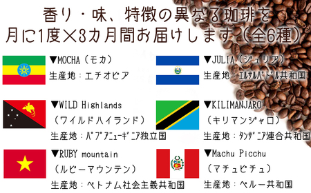 【宝塚】miniｻｲｽﾞ3ヶ月定期便C（当日自家焙煎珈琲6種 計600g）【豆】