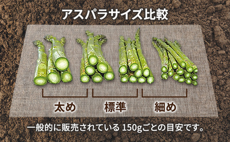 【2026年春発送】富良野産 アスパラ 約1kg  贅沢な太め (L～3Lサイズ混合) 中山農園 野菜 