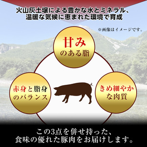 豚肉 バラ スライス 鹿児島県産 豚 三枚肉 厚切り 焼き肉 (1.2kg) 【小迫ストアー】A863