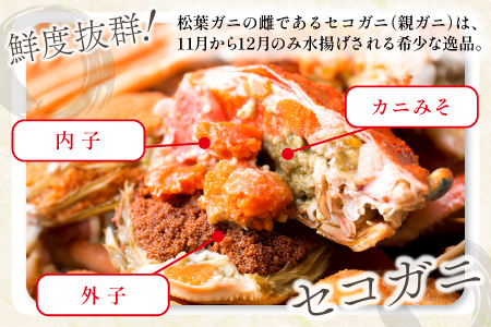 【活き】訳あり足折れご自宅用　日本海産親ガニ（セコガ二） 6枚【訳あり かに カニ 蟹 親ガニ セコガニ ずわいがに ズワイガニ 冷蔵 チルド ブランド 蒸し ボイル 足折れ 自宅用 国産 季節限定 お取り寄せ 鳥取県 日吉津村 日本海】