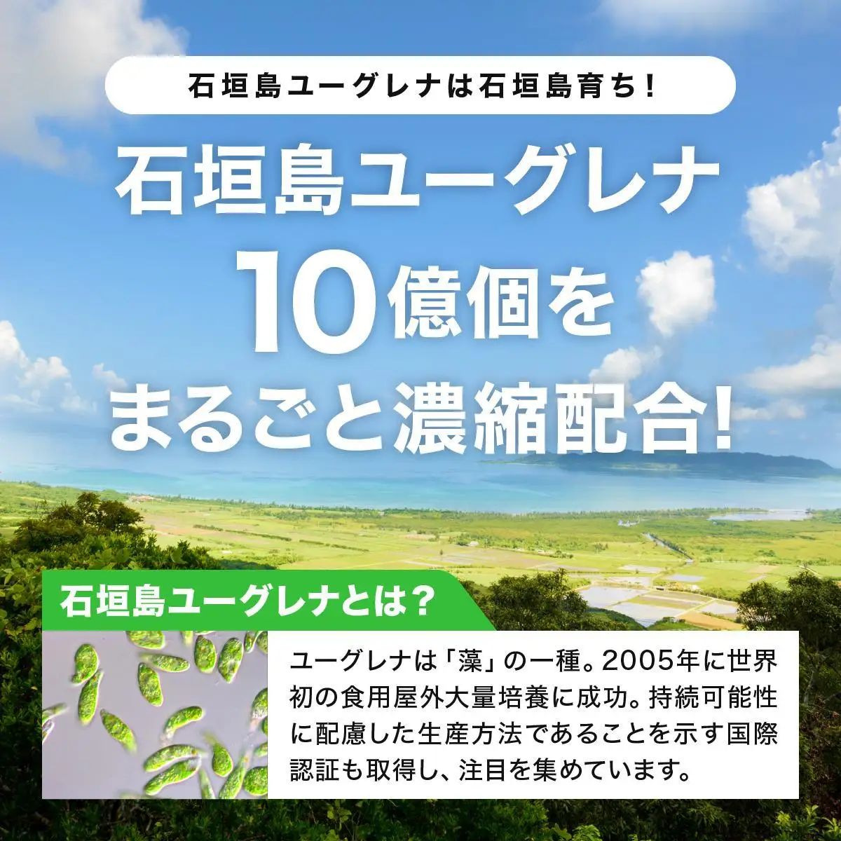 【定期便】《6ヶ月》からだにユーグレナ フルーツグリーンオレ 
