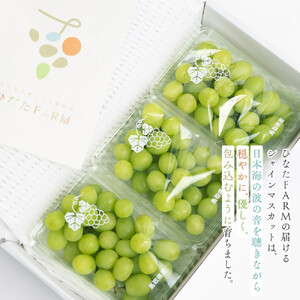 【家庭用】シャインマスカット 1kg ひなたFARM  | シャインマスカット