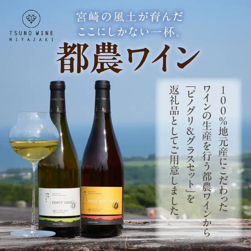 ≪数量限定≫都農ワイン ピノグリ2本&グラスセット 酒 飲料 アルコール 国産 ロナ_T014-0215