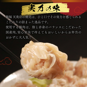 【 肉汁たっぷり 】 焼売 20個 冷凍 焼売