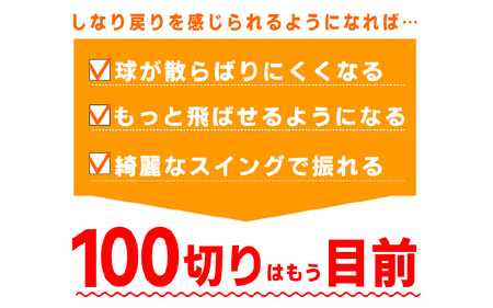 (男性/右打ち用)LAROUGE GNYA（ラルージュグニャ）練習用アイアン - 素振りだけでなく実打できる練習用ドライバー