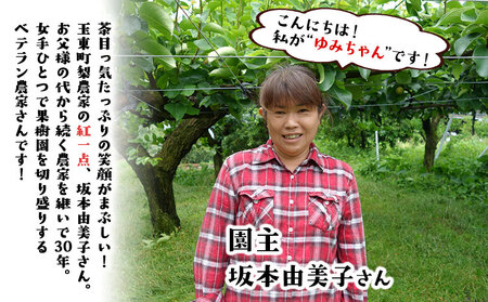 ゆみちゃん農園の玉東梨 甘太梨 約3kg(3～10玉前後)《2026年8月下旬-10月上旬頃出荷》 熊本県玉名郡玉東町 ｜ブランド梨 人気梨 特産品梨 熊本県梨 玉東町梨 大人気返礼品