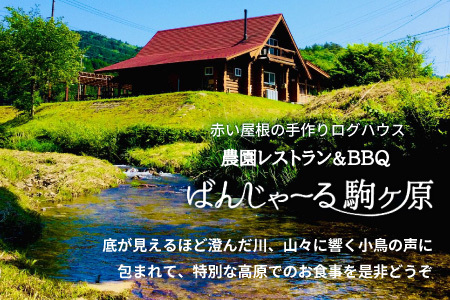 農園レストラン&BBQが楽しめる ログハウス ばんじゃーる駒ヶ原 お食事券 3000円 利用券 段戸山高原牛 ステーキ バーベキュー 食事 牛肉 野菜 食材 ハンバーグ -227