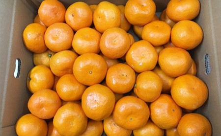 【 小豆島 】小豆島 みかん 約5kg　 果物類 柑橘類 フルーツ ミカン 蜜柑 