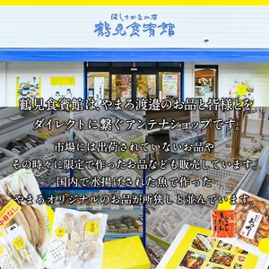 ＜訳あり＞ 厳選 干物 お試し版 (総量10枚) 簡単 調理 干物 あじ かます さば ぶり ぶりかま 開き 魚 海鮮 冷凍 詰め合わせ 大分県 佐伯市 やまろ渡邉【DL33】【鶴見食賓館】