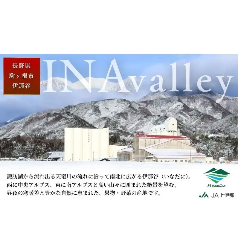【先行予約】令和8年産 訳あり サンふじ りんご 4.5kg  家庭用 長野産 信州 産地直送 フルーツ 果物 リンゴ さんふじ 林檎