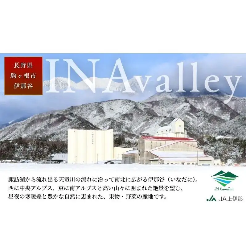 【先行予約】令和8年産 訳あり サンふじ りんご 9kg (玉数おまかせ)  家庭用 長野産 信州 産地直送 フルーツ 果物 リンゴ さんふじ 林檎