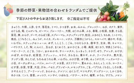 野菜・加工品セット 野菜6種類以上＋季節のジャム1個 野菜 季節の野菜 セット 産地直送 新鮮 野菜農家 季節 詰め合わせ 産直 国産 お楽しみ おまかせセット 千葉市