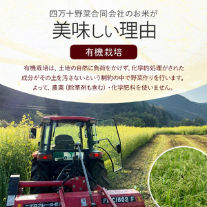 【有機玄米】希少な四万十の香る米 4.8kg（8合×4袋）四万十INEKA（稲華香米）化粧袋仕様 ／Fsg-Z02 小分け 便利 玄米 高知県 四万十町
