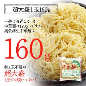 奥会津生中華麺10玉／冷やし中華レモン味 麺類 ラーメン 生ちぢれ 