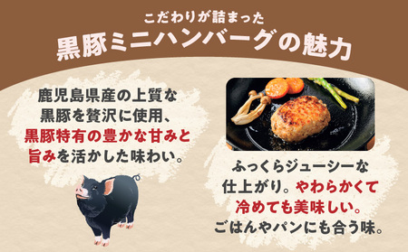 鹿児島県産 黒豚 ミニハンバーグ 12パック K356-004 肉 豚肉 惣菜 総菜 冷凍