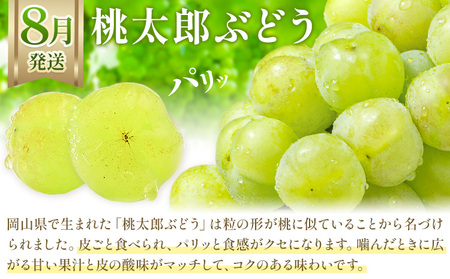 【3か月定期】岡山のぶどう 3種食べ比べ 計2.1kg【配送不可地域あり】ﾏｽｶｯﾄ ﾋﾟｵｰﾈ