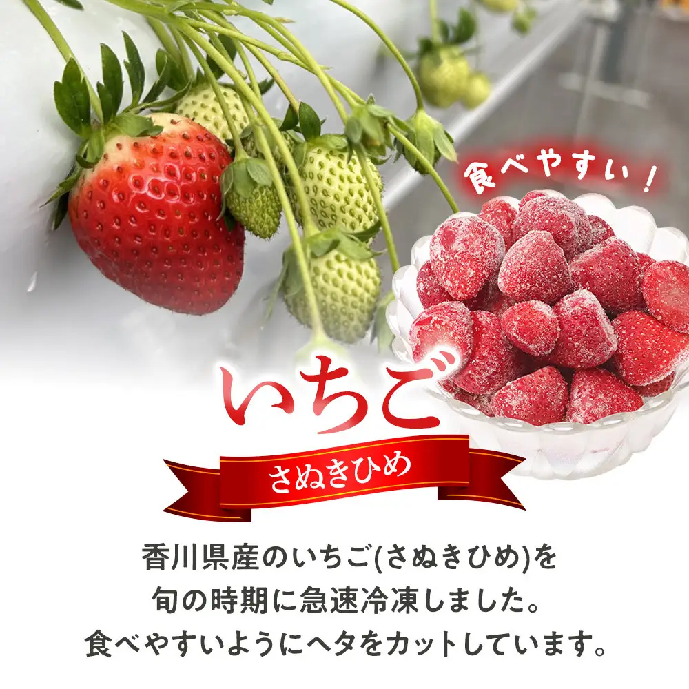 冷凍いちご(さぬきひめ)500g×20袋 | 冷凍いちご