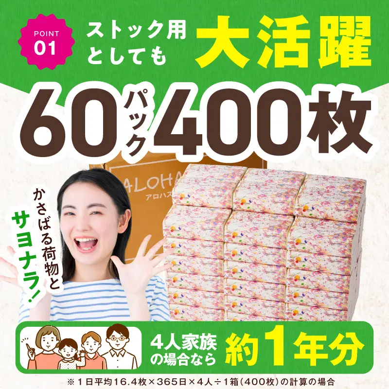 ソフトパックティッシュ 60パック×400枚 ティッシュ