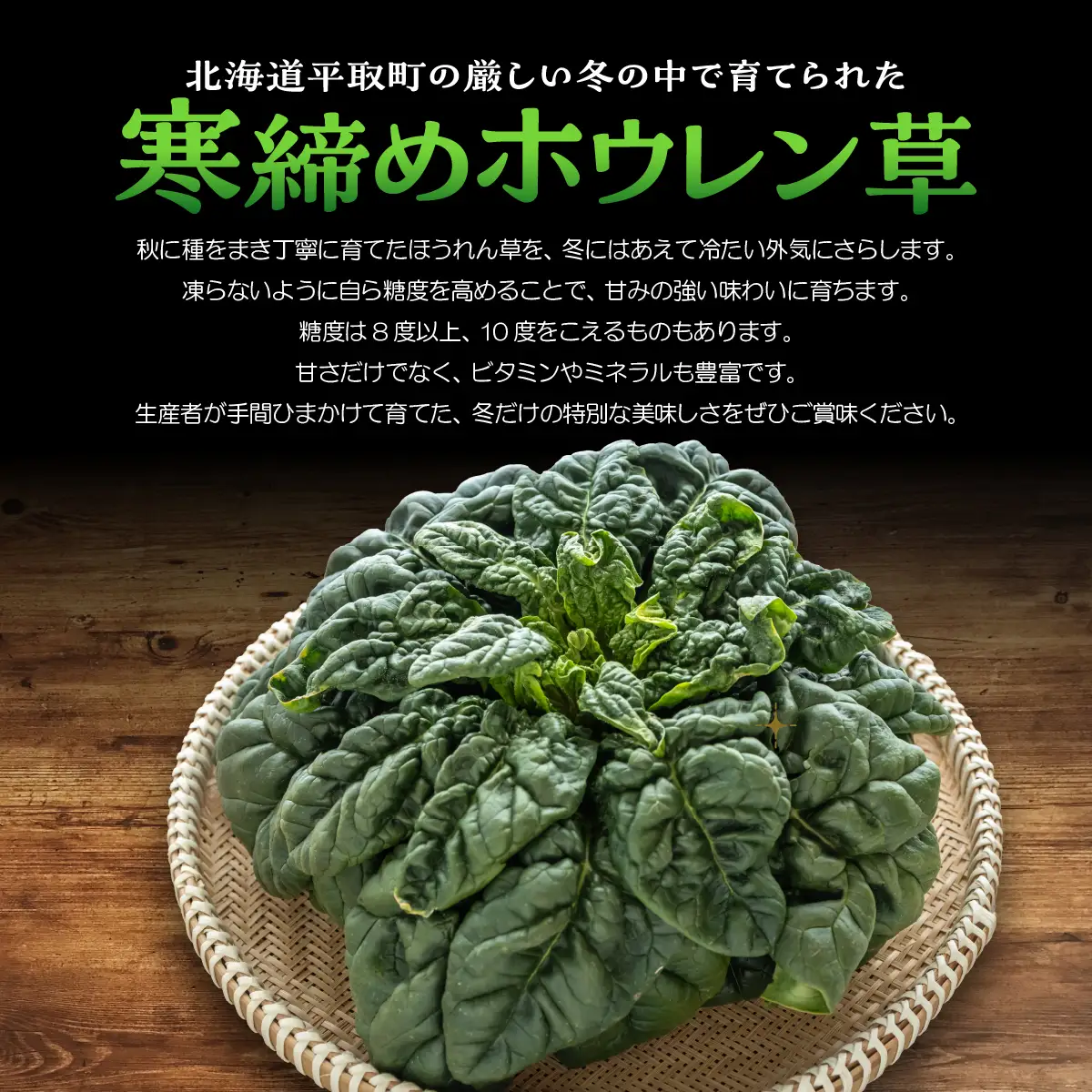 【先行予約/2026年12月上旬以降発送】【北海道平取町産】寒締めホウレン草（ちぢみほうれん草）200g×10袋 BRTO003