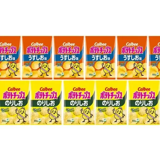 カルビー ポテトチップス レギュラー サイズ　 2種類 詰め合わせ 16袋（ うすしお ／ のりしお ）