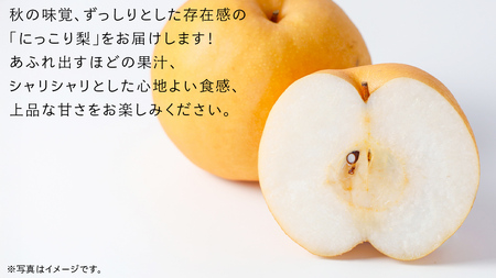 にっこり 梨 5kg （7～10玉）【2026年10月より発送開始】（茨城県共通返礼品 [梨]：大子町産）