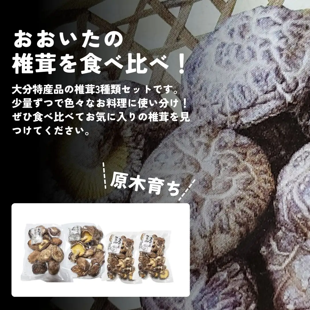 干し椎茸セット(どんこ・香信各100g×1/こつぶ80g×2) | 豊後高田市 椎茸