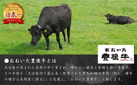 豊後牛 切落し(200g×4P） | 切落し 津久見市