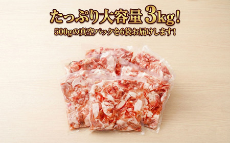 豚肉切り落とし(3kg/小分け500g) | 豊後高田市 豚肉
