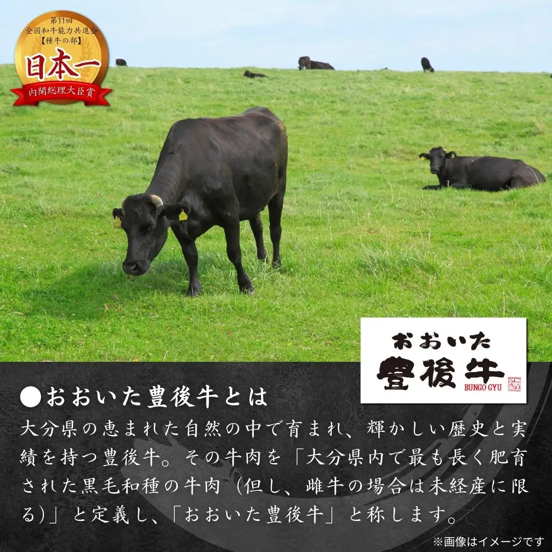 豊後牛 切り落とし 800g | 牛 切り落とし