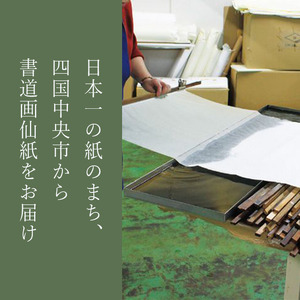 伊予画仙紙 雷鳥