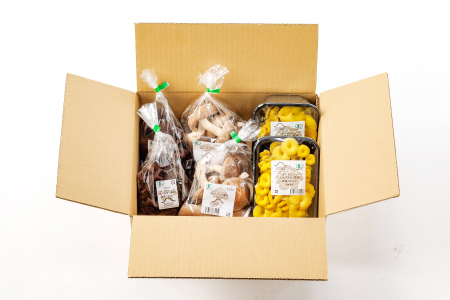 プロが厳選！オーガニックきのこ３種盛り(1kg)【しいたけ きくらげ ひらたけ たもぎたけ なめこ 黒あわびたけ やまぶしたけ おまかせ 厳選】