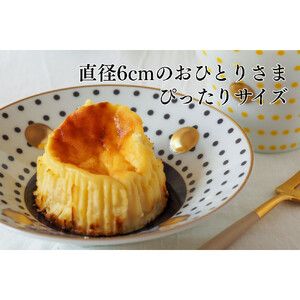 【amica fragranza】バスクチーズケーキセット-冷凍便-