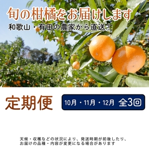 【定期便】厳選 柑橘定期便SS 3回（10～12月）※北海道・沖縄・離島への配送不可※10月・11月・12月に発送
