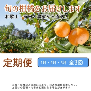 【定期便】家庭用 柑橘定期便 M 3回（1～3月）※北海道・沖縄・離島への配送不可※1月・2月・3月に発送