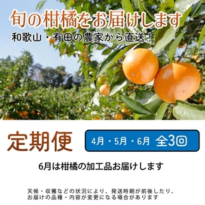 【定期便】家庭用 柑橘定期便 M 3回（4～6月）※北海道・沖縄・離島への配送不可※4月・5月・6月に発送