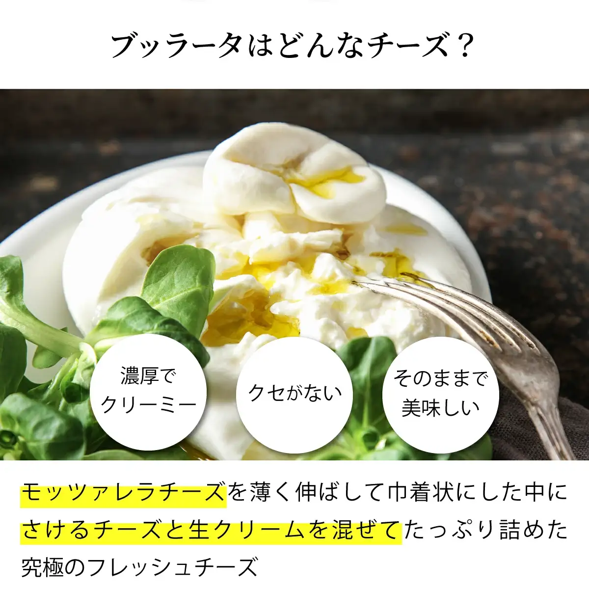 青森ミルクの手づくりチーズ　ブッラータ120g×2　【02402-0471】