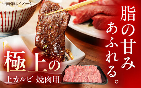 【6回定期便】佐賀牛 上カルビ 焼肉用 500g /MKミート武雄[UEM051] カルビ