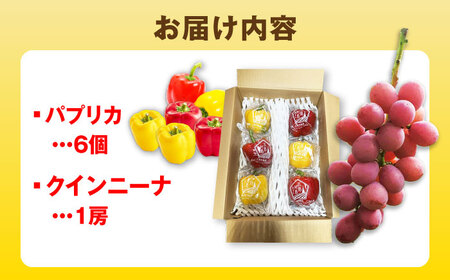 【2026年発送】クインニーナとパプリカ 五島市/HPIファーム ブドウ ぶどう 野菜 果物[PCP016]