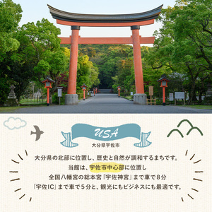 宇佐ホテルリバーサイド 1泊素泊まり宿泊券(ツインルーム・焼酎お土産付き)【117400400】【宇佐ホテルリバーサイド】