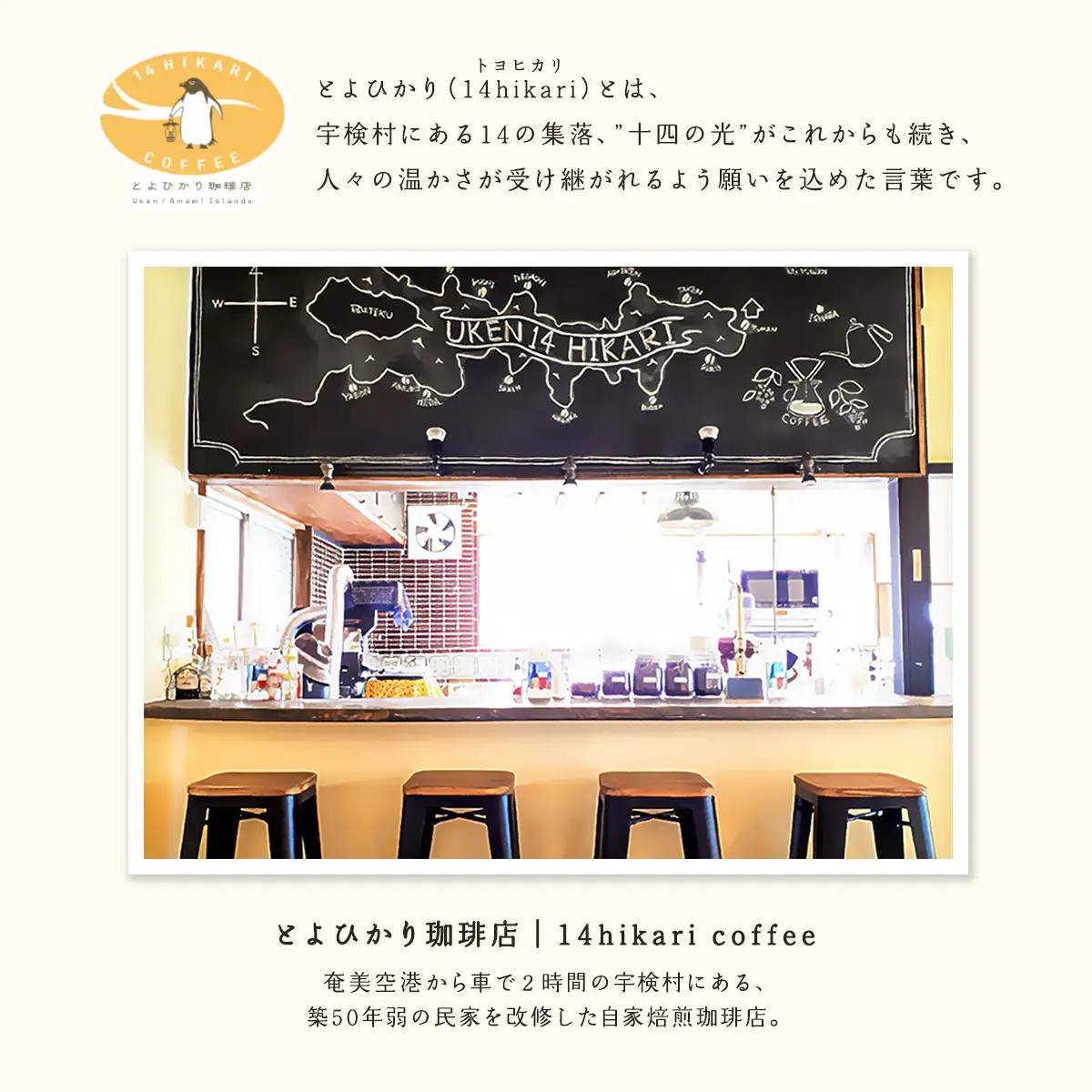店主おすすめ 自家焙煎コーヒー「豆」100gx2種 とよひかり 珈琲店 こだわり エクアドル インドネシア 鹿児島県 奄美大島 宇検村 ギフト 送料無料