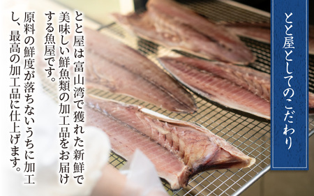 【定期便】6ヶ月連続お届け とと屋の美味厳選定期便 / 時短 料理 調理済み レトルト 食品 ぶり さば ます ほたるいか ホタルイカ ます寿し 煮魚 焼き魚 燻製 おつまみ 定期便 セット 詰め合わせ 600g 70g 80g 280g 360g 20g 60g 120g 160g 960g 40g 50g 60g 540g 310g
