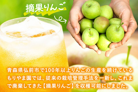 摘果りんごのアップサイクルドリンク テキカカアップルソーダ 330ml×24本 もりやま園 青森 弘前 林檎 リンゴ