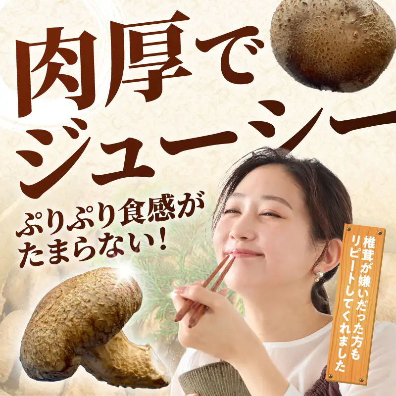 国内産菌床しいたけ [きのこ 菌床]