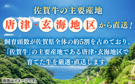 【全6回定期便】佐賀牛切り落とし 計3kg（500g×6回） / 佐賀県 / 株式会社中山牧場[41AOCW021]