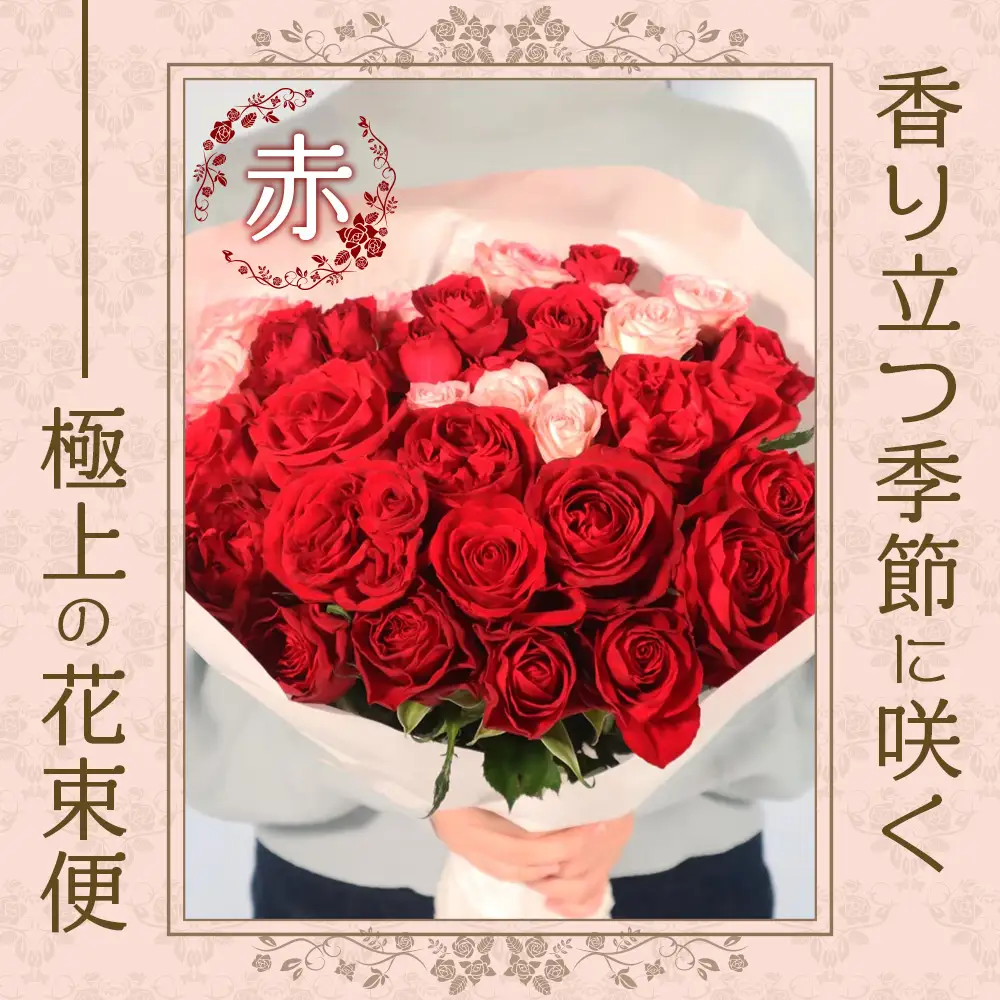 【人気の春・冬薔薇をお届け】 ばら農家直送 ！ バラ花束15本以上お届け(赤系) 【ギフト対応可】 TB-9│ローズ 新鮮 花 フラワー 花束 ばら 薔薇 バラ 誕生日 記念日 結婚祝い ギフト プレゼント お祝い 贈り物 贈答 鹿児島県 南大隅町 富田バラ園