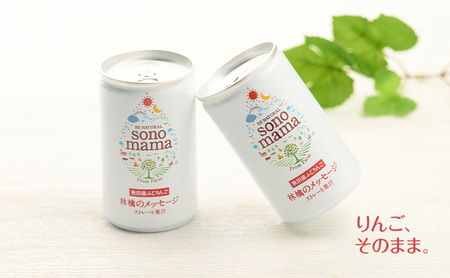 《 定期便 6ヵ月 》 りんごジュース「sonomama」（160g×5本）×2箱 りんご リンゴ ジュース リンゴジュース 飲料