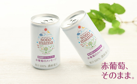 《 定期便 3ヵ月 》 赤葡萄ジュース「sonomama」（160g×5本）×1箱 ぶどう ブドウ ジュース ぶどうジュース 飲料